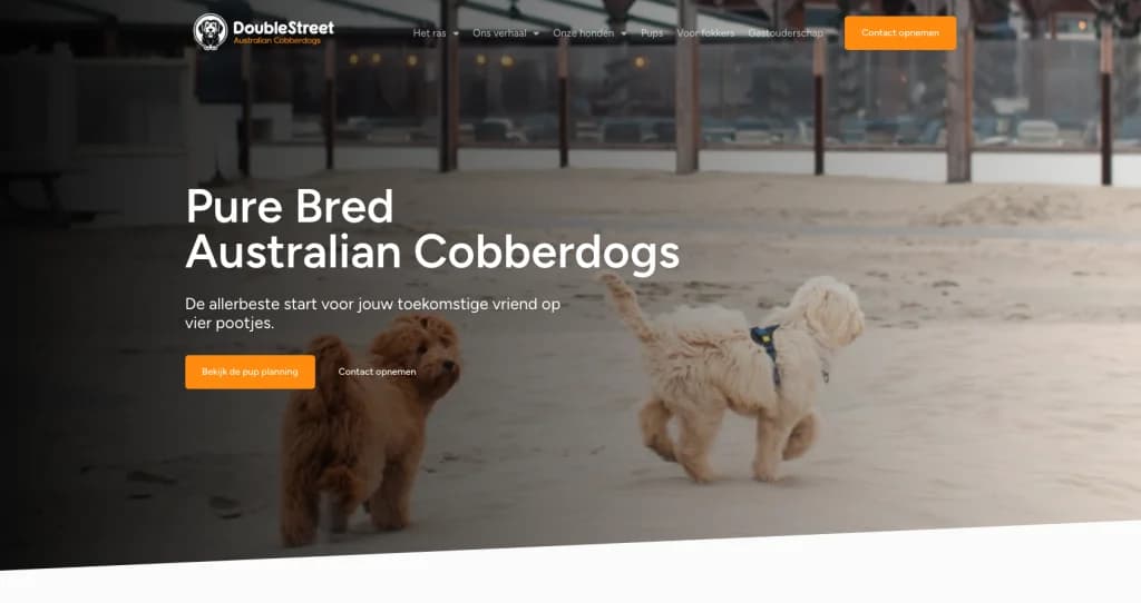 Screenshot of the DoubleStreet website